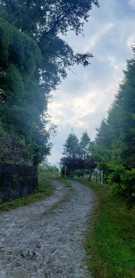 The Nettle And Fern Farmstay Пелинг Екстериор снимка