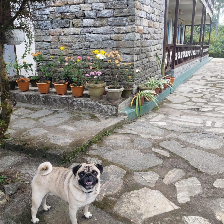 The Nettle And Fern Farmstay Пелинг Екстериор снимка