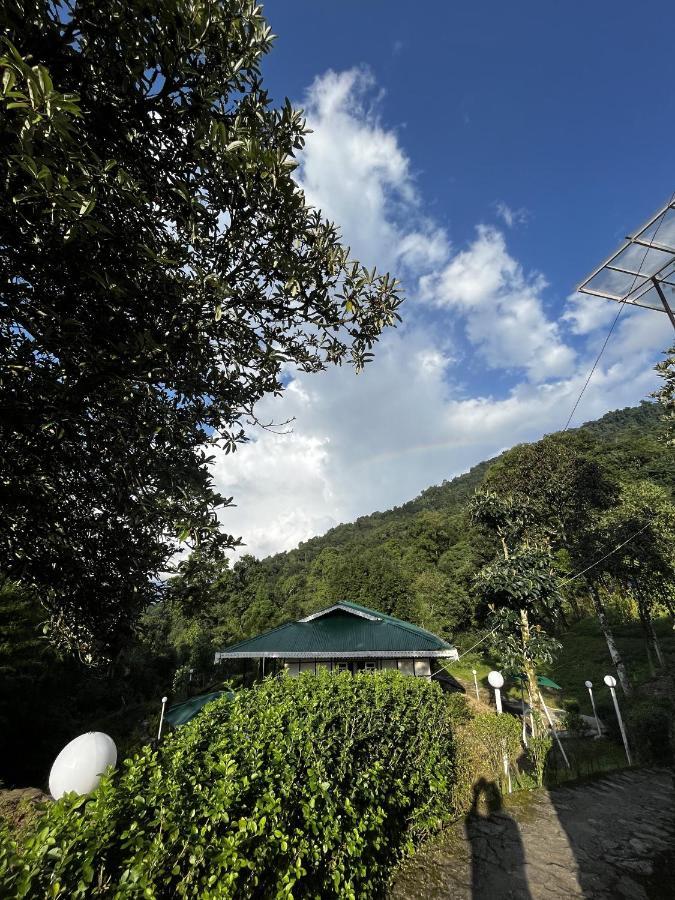 The Nettle And Fern Farmstay Пелинг Екстериор снимка