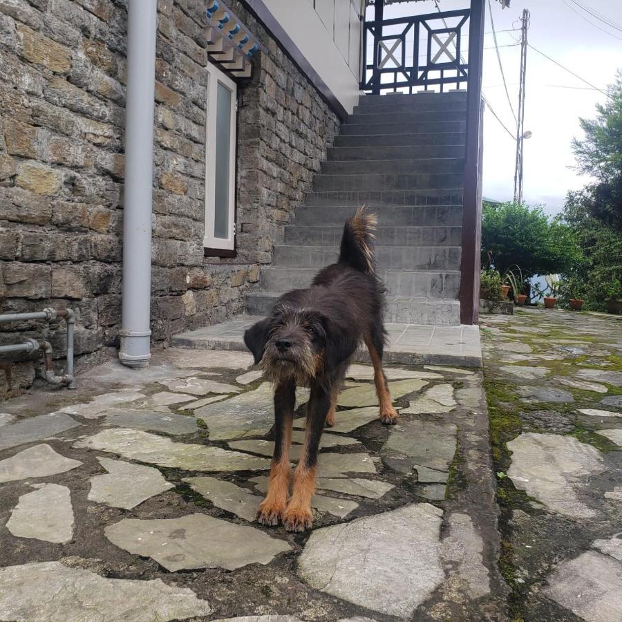 The Nettle And Fern Farmstay Пелинг Екстериор снимка